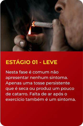 Estágio 1